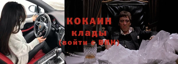 прущие крисы Каменка