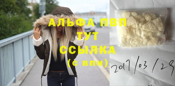 прущие грибы Каменногорск