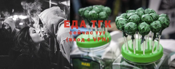 прущие грибы Каменногорск