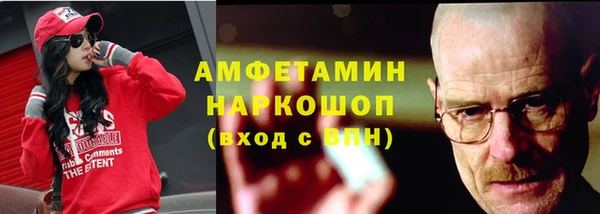 прущие грибы Каменногорск