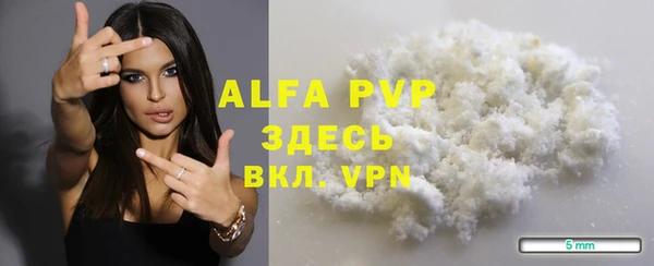 spice Инта