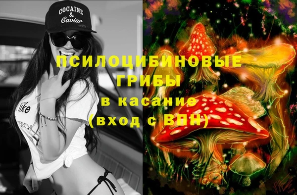 прущие крисы Каменка