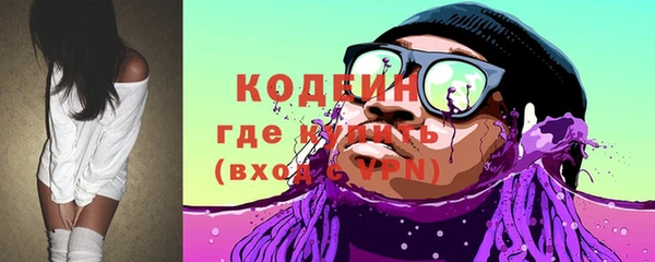 прущие грибы Каменногорск