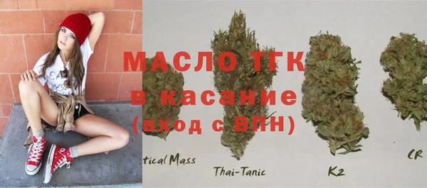 прущие грибы Каменногорск
