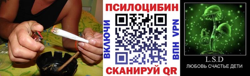 Псилоцибиновые грибы прущие грибы  Киреевск 